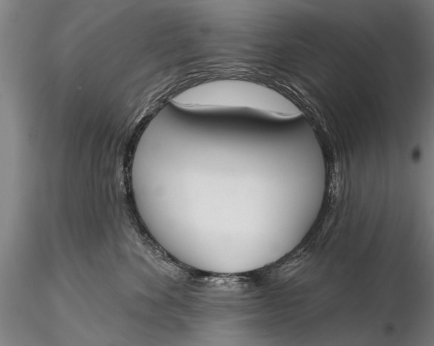 X0000116380524200912161504