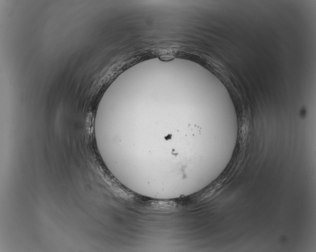 X0000116380525200912161504