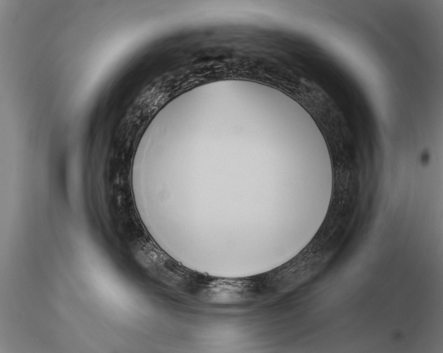 X0000116380526200912161504