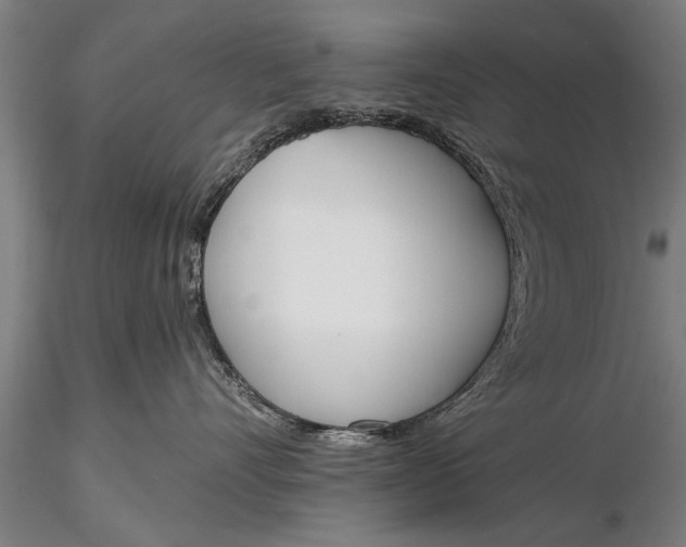 X0000116380528200912161504