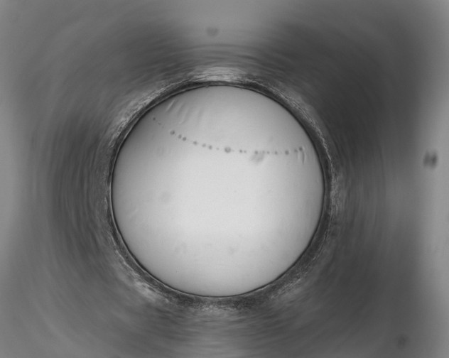 X0000116380529200912161503