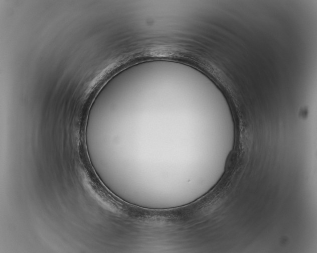 X0000116380530200912161503
