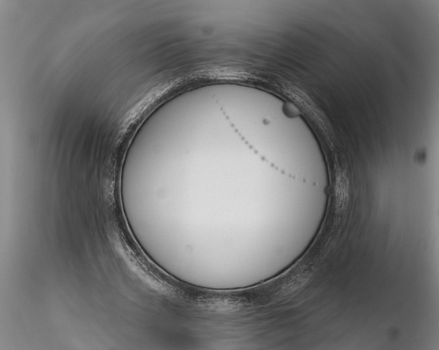 X0000116380533200912161503
