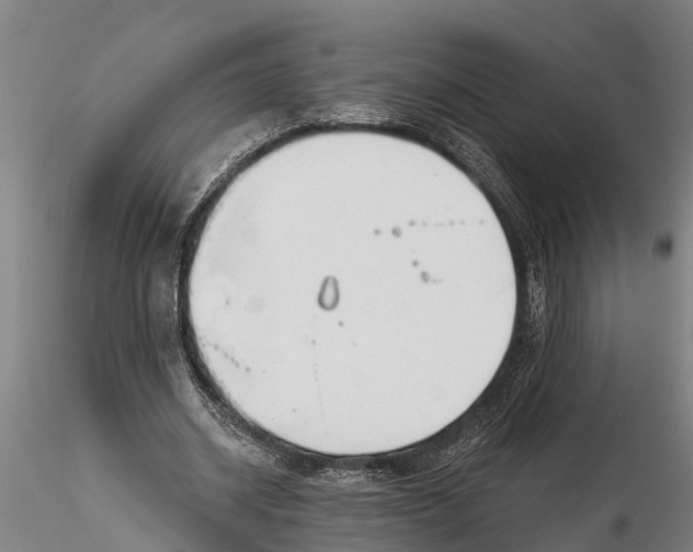 X0000116380534200912161503