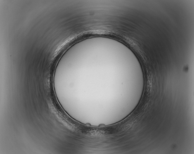 X0000116380535200912161503