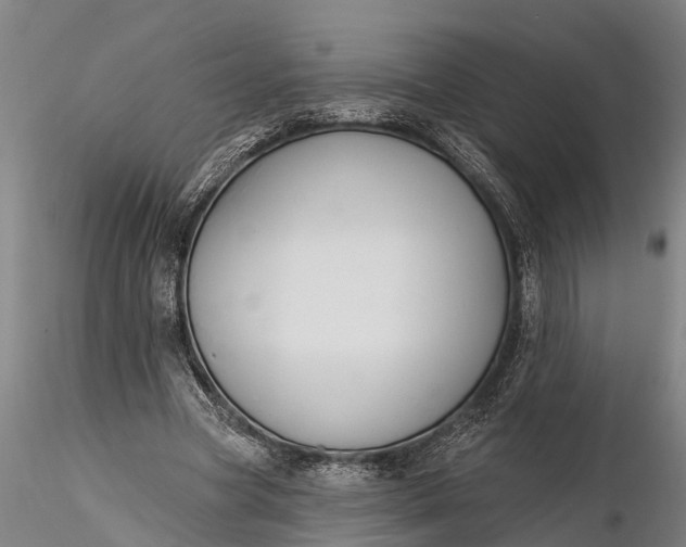 X0000116380537200912161503