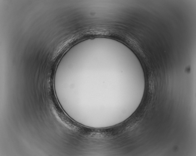 X0000116380538200912161503