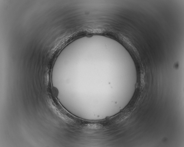 X0000116380541200912161503