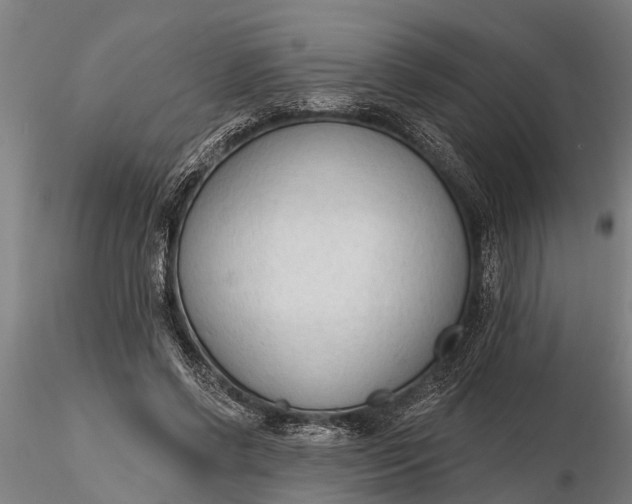 X0000116380542200912161503