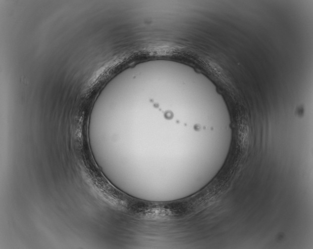 X0000116380543200912161503