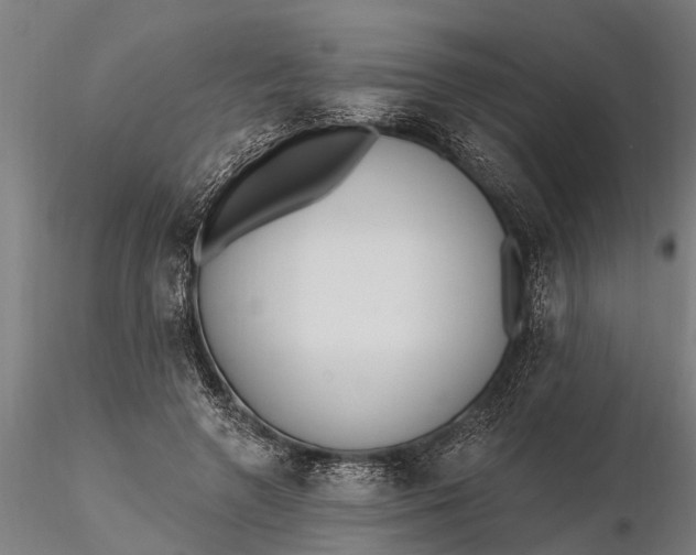 X0000116380546200912161503