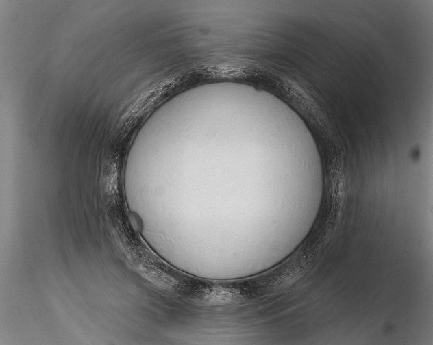 X0000116380549200912161503