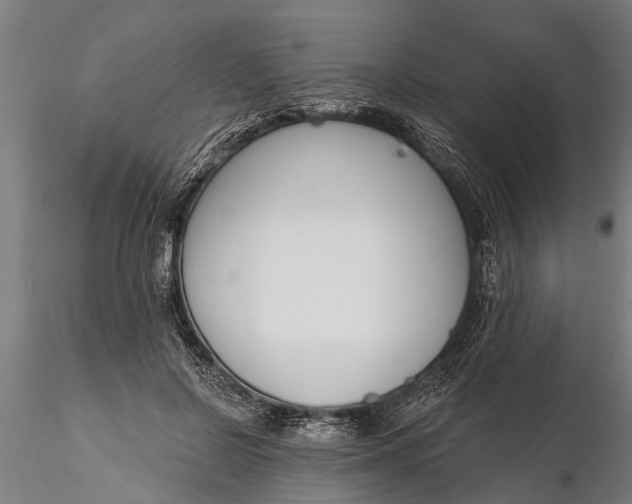 X0000116380550200912161503