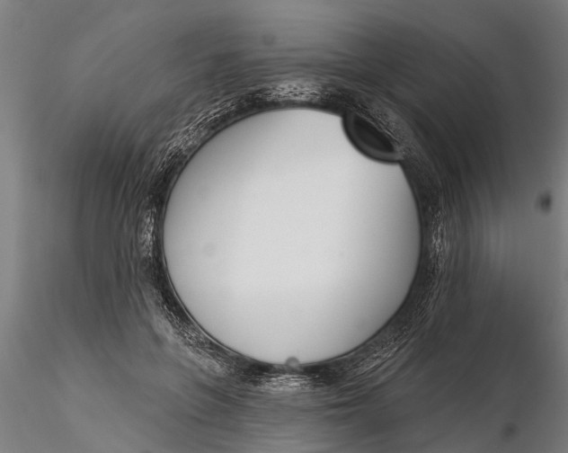 X0000116380551200912161503