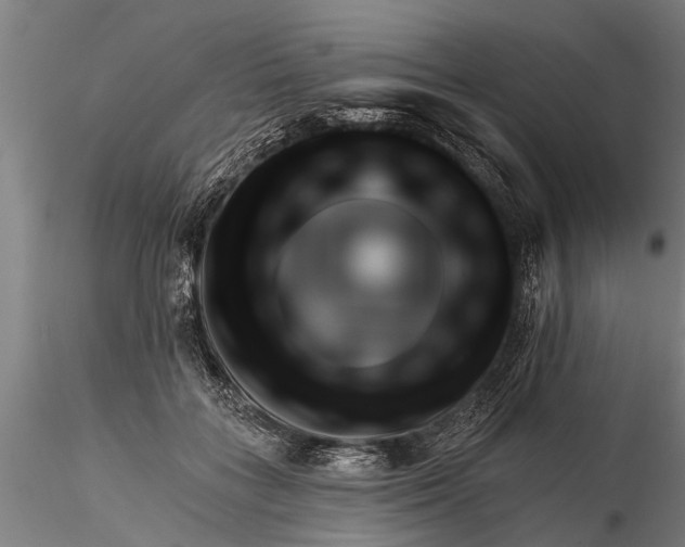 X0000116380555200912161503
