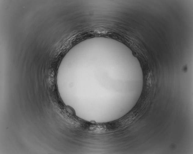 X0000116380559200912161503