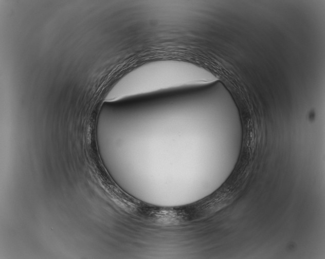X0000116380562200912161503