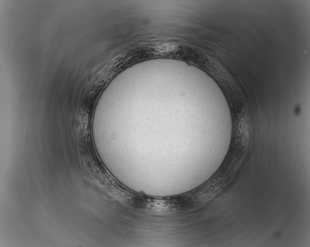 X0000116380565200912161504