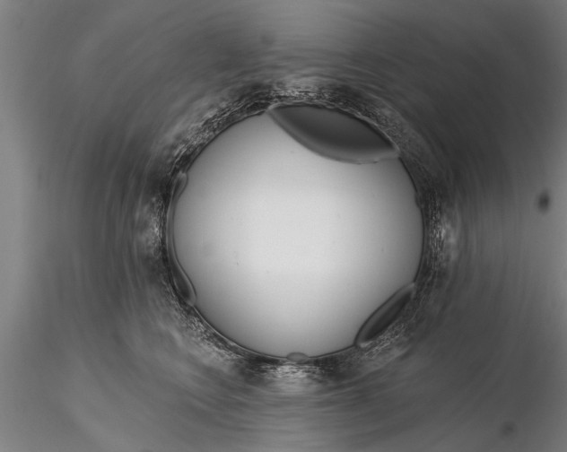X0000116380566200912161504