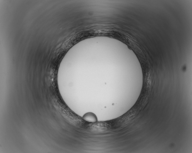 X0000116380567200912161504