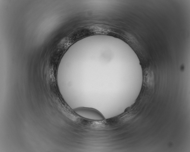 X0000116380573200912161504