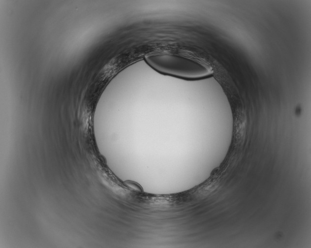 X0000116380574200912161504