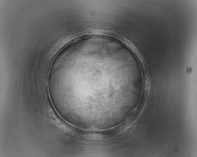 X0000116380577200912161503