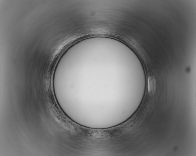 X0000116380579200912161503