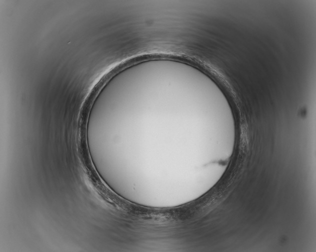 X0000116380580200912161503