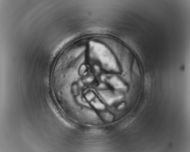 X0000116380581200912161503
