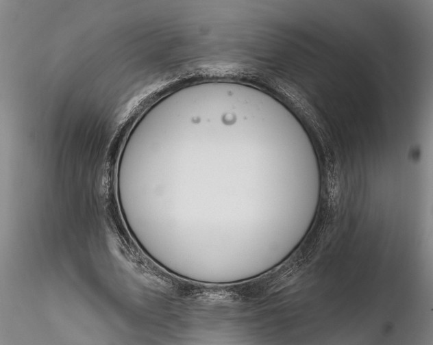 X0000116380583200912161503