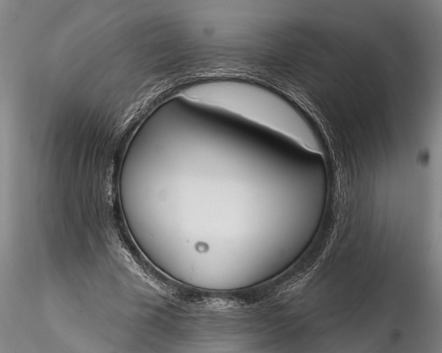 X0000116380585200912161503