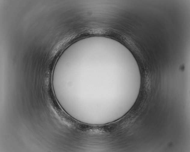 X0000116380586200912161503