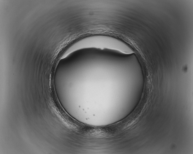 X0000116380589200912161503