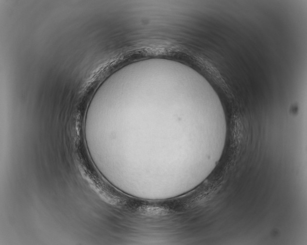 X0000116380590200912161503