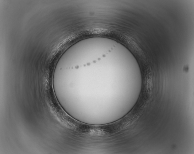 X0000116380591200912161503