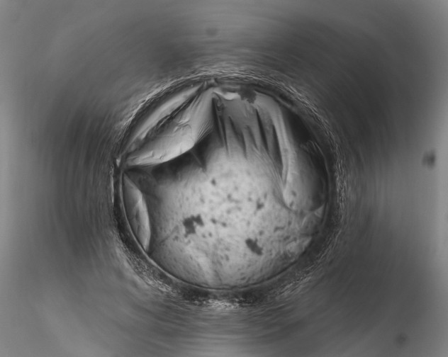 X0000116380592200912161503