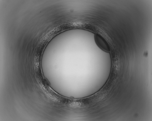 X0000116380593200912161503