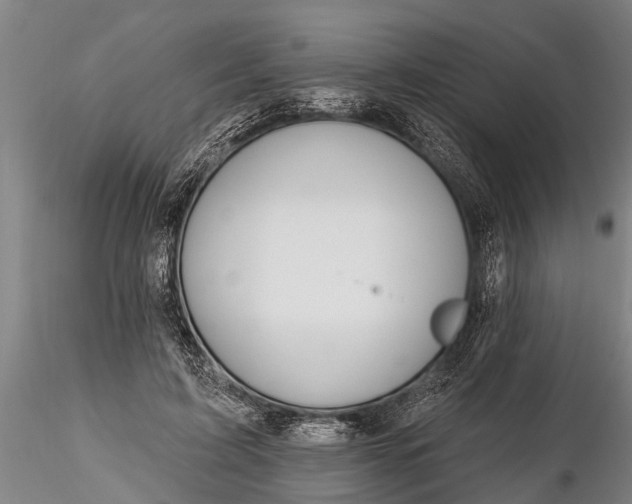 X0000116380595200912161503