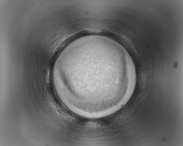X0000116380596200912161503
