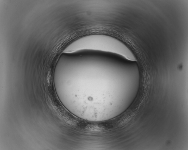 X0000116380597200912161503