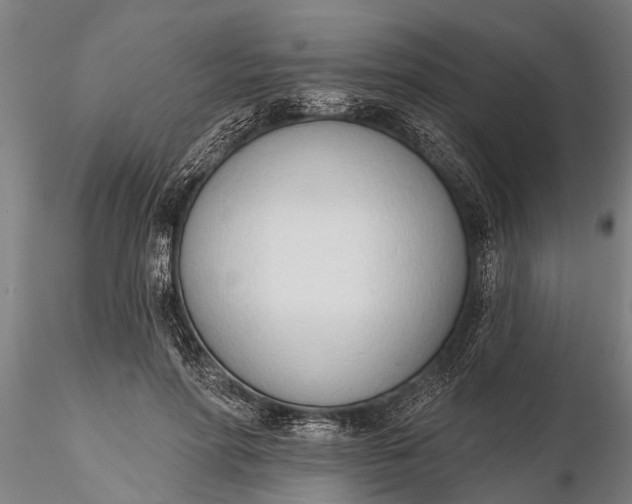 X0000116380598200912161503