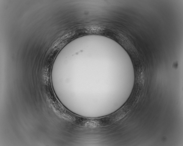 X0000116380599200912161503