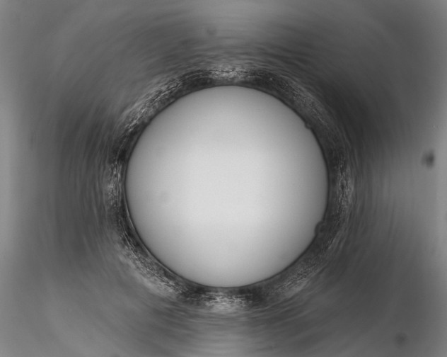 X0000116380601200912161503
