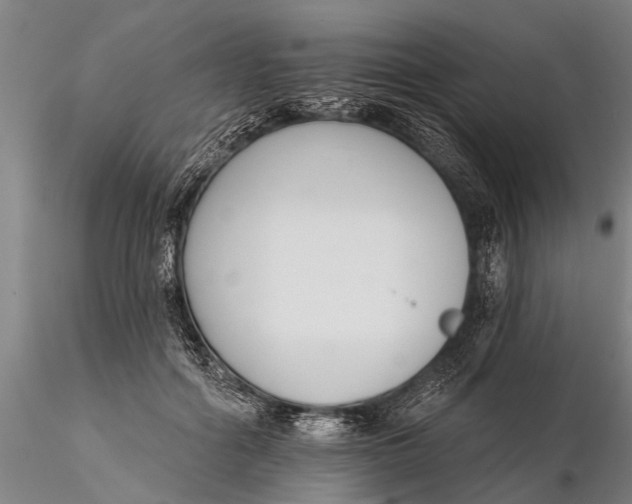 X0000116380602200912161503