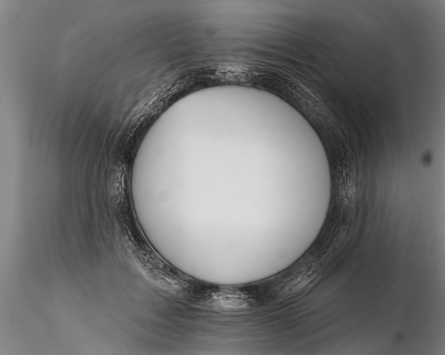 X0000116380603200912161503
