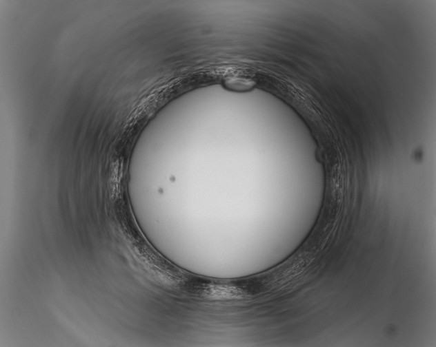 X0000116380605200912161503