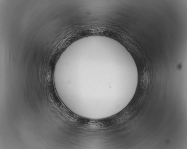X0000116380608200912161503
