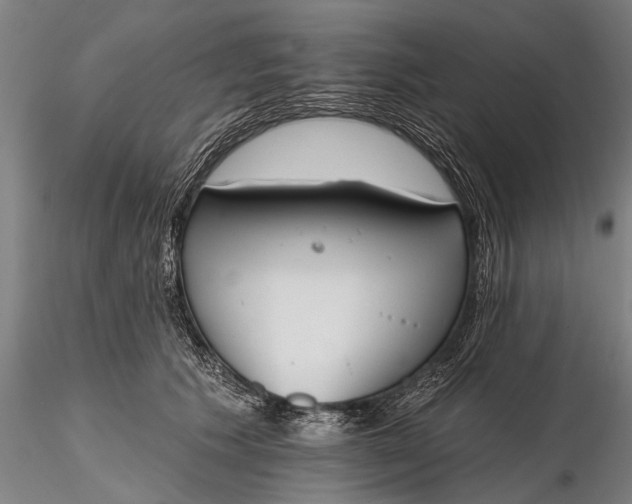 X0000116380609200912161503