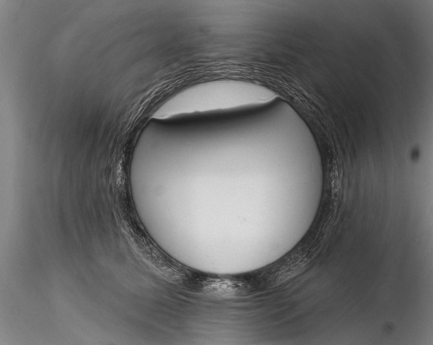 X0000116380611200912161503
